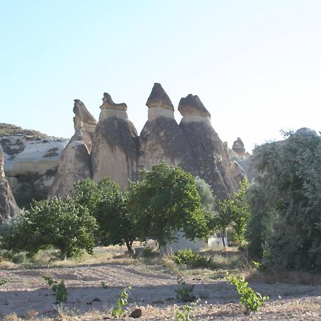 Anatolia Cave Hotel Pension Göreme Exterior photo